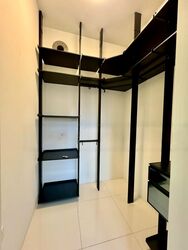 The Rise @ Oxley (D9), Condominium #472175741
